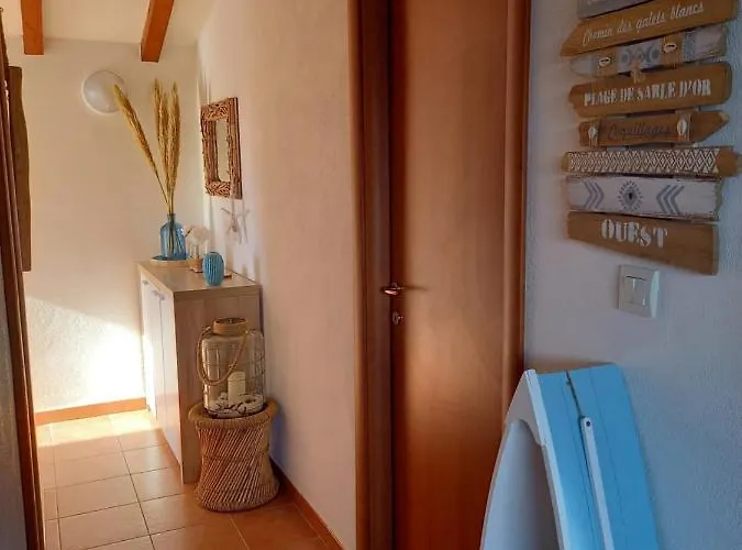 Avec Piscine Vue Et Montagne San-Nicolao